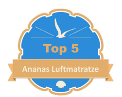 Top 5 – Ananas Luftmatratze